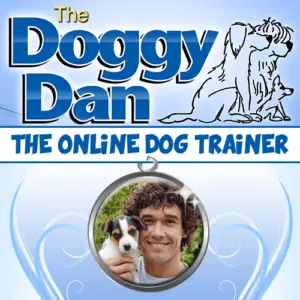 Doggy Dan online trainer picture