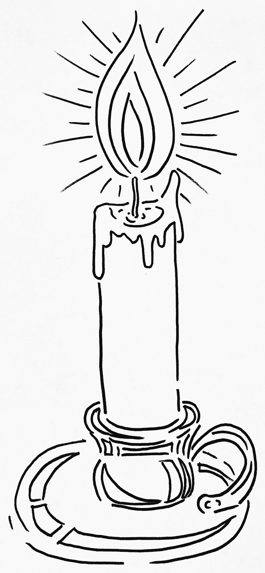 The Best Odor Eliminating Candles to Get Rid of Dog Smells