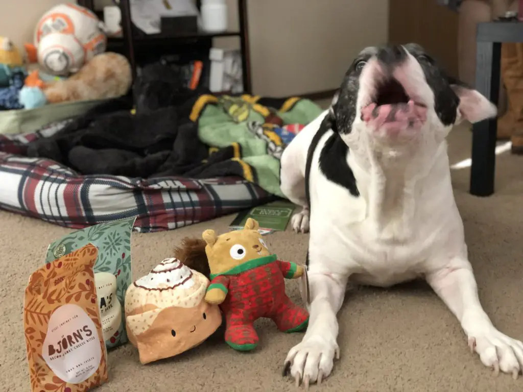 barkbox for aggressive chewers