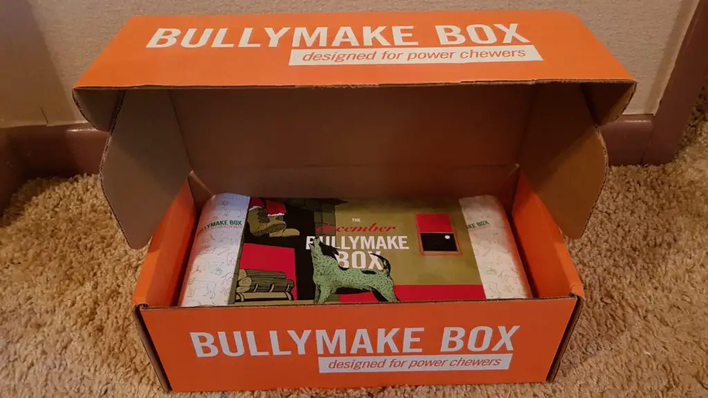 Bullymake Box: Review - Journeys and Jaunts