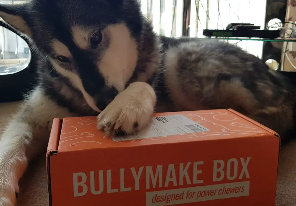 Bullymake Box: Review - Journeys and Jaunts