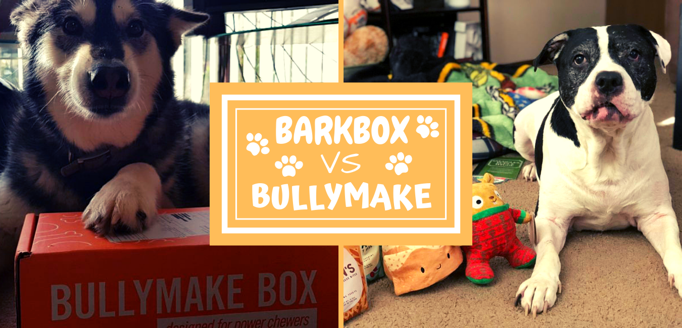 barkbox for power chewers