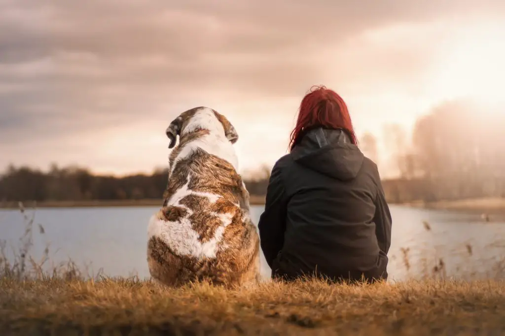 What Are The Best Pets For Depression Anxiety Pets Mental Health