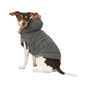 7 Best Waterproof Dog Coats with Chest and Underbelly Protection (2019)