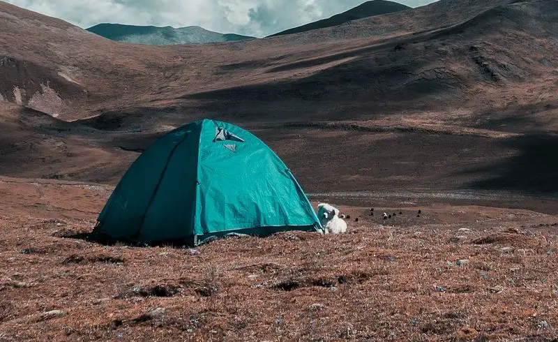 A dog tent